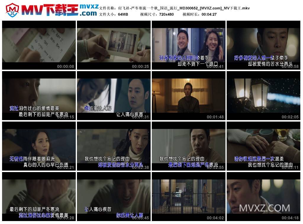 付飞社-严冬寒流一个秋_国语_流行_MD300652